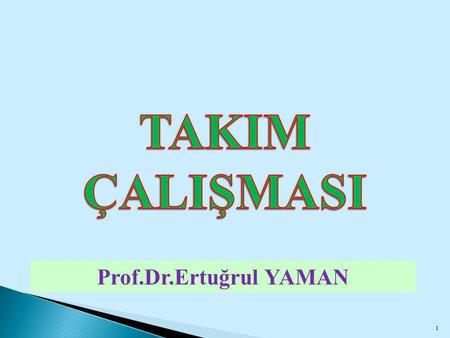 TAKIM ÇALIŞMASI Prof.Dr.Ertuğrul YAMAN.