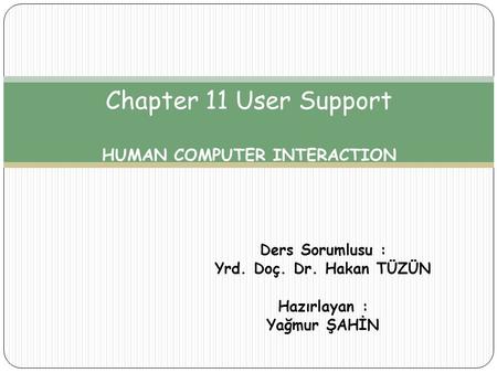 Chapter 11 User Support HUMAN COMPUTER INTERACTION