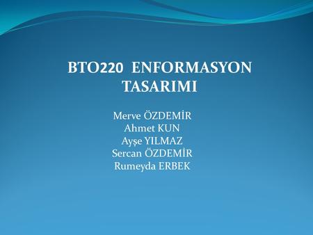 BTO220 ENFORMASYON TASARIMI