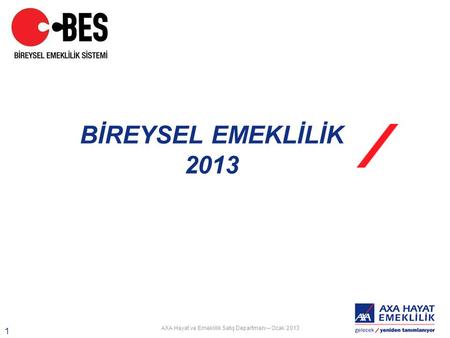 BİREYSEL EMEKLİLİK 2013.