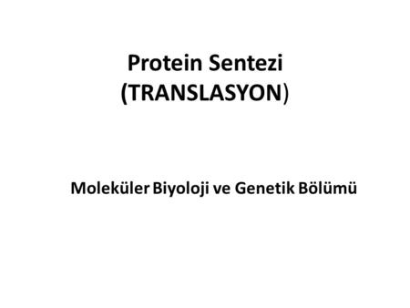 Protein Sentezi (TRANSLASYON)