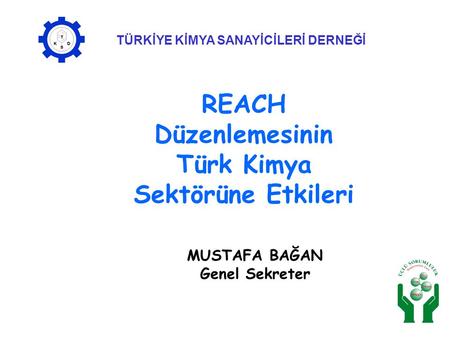REACH Düzenlemesinin Türk Kimya Sektörüne Etkileri