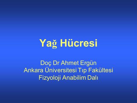 Yağ Hücresi Doç Dr Ahmet Ergün Ankara Üniversitesi Tıp Fakültesi Fizyoloji Anabilim Dalı.