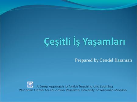 Prepared by Cendel Karaman A Deep Approach to Turkish Teaching and Learning Wisconsin Center for Education Research, University of Wisconsin-Madison.