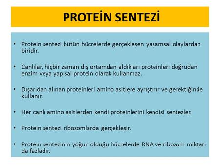 PROTEİN SENTEZİ Protein sentezi bütün hücrelerde gerçekleşen yaşamsal olaylardan biridir. Canlılar, hiçbir zaman dış ortamdan aldıkları proteinleri doğrudan.