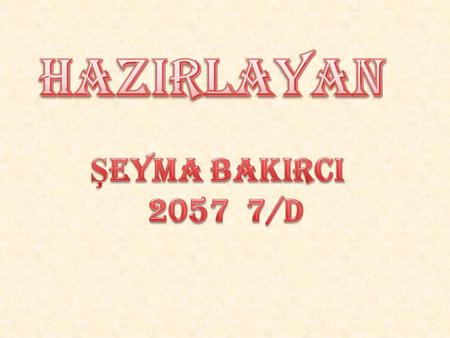HaZIRLAYAN ŞEYMA BAKIRCI 2057 7/D.