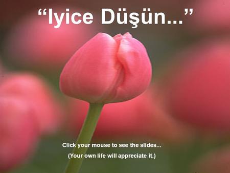 “Iyice Düşün...” Click your mouse to see the slides...