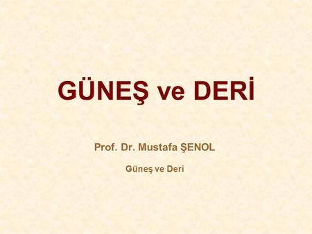Prof. Dr. Mustafa ŞENOL Güneş ve Deri