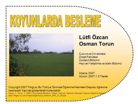 KOYUNLARDA BESLEME Lütfi Özcan Osman Torun Çukurova Üniversitesi