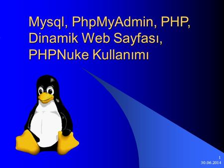 Mysql, PhpMyAdmin, PHP, Dinamik Web Sayfası, PHPNuke Kullanımı