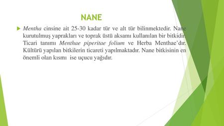 NANE Mentha cinsine ait 25-30 kadar tür ve alt tür bilinmektedir. Nane kurutulmuş yaprakları ve toprak üstü aksamı kullanılan bir bitkidir. Ticari tanımı.