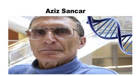 Aziz Sancar. AZİZ SANCAR’IN HAYATI Aziz Sancar 1946 yılında Mardin'in Savur ilçesinde doğdu. İlk ve orta öğrenimini Savur ve Mardin'de tamamladı.Çiftçilikle.