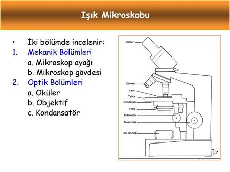 Işık Mikroskobu İki bölümde incelenir: Mekanik Bölümleri