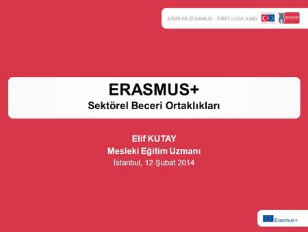 ERASMUS+ Sektörel Beceri Ortaklıkları