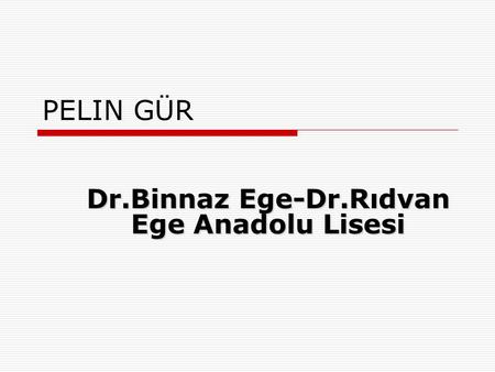 Dr.Binnaz Ege-Dr.Rıdvan Ege Anadolu Lisesi