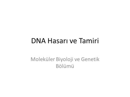 Moleküler Biyoloji ve Genetik Bölümü