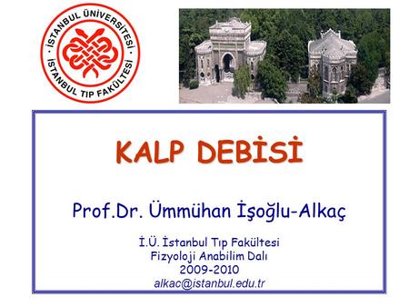 KALP DEBİSİ Prof. Dr. Ümmühan İşoğlu-Alkaç İ. Ü
