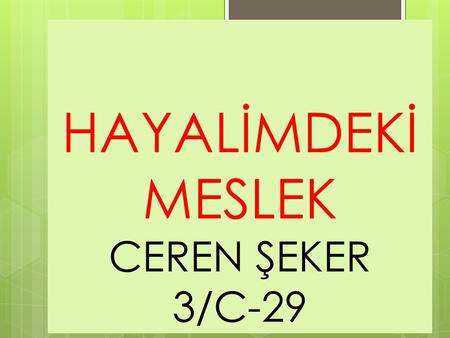 HAYALİMDEKİ MESLEK CEREN ŞEKER 3/C-29