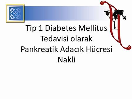 Giriş Tip 1 Diyabetes Mellitus (DM) Tip 1 DM Tedavi (?) Yöntemleri