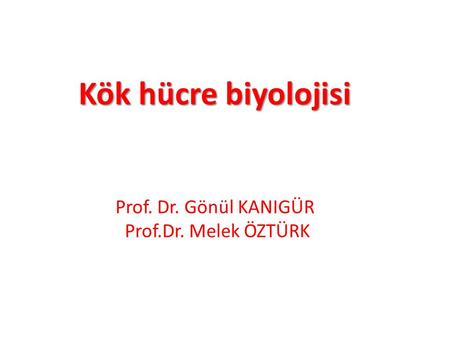 Kök hücre biyolojisi Prof. Dr. Gönül KANIGÜR Prof.Dr. Melek ÖZTÜRK