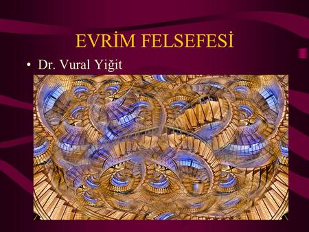 EVRİM FELSEFESİ Dr. Vural Yiğit.
