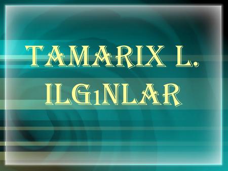Tamarix L. Ilgınlar.