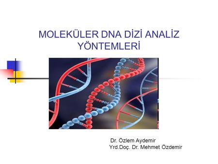 MOLEKÜLER DNA DİZİ ANALİZ YÖNTEMLERİ