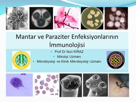 Mantar ve Paraziter Enfeksiyonlarının İmmunolojisi
