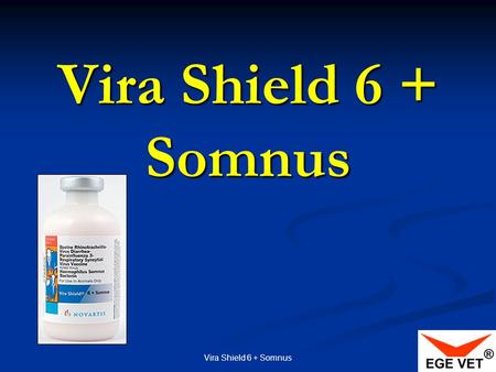 Vira Shield 6 + Somnus Vira Shield 6 + Somnus.