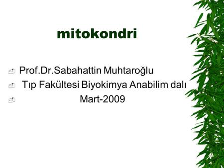 mitokondri Prof.Dr.Sabahattin Muhtaroğlu