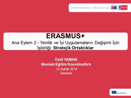 Celil YAMAN Mesleki Eğitim Koordinatörü 12 Şubat 2014 İstanbul