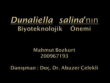Dunaliella salina’nın Biyoteknolojik Önemi Mahmut Bozkurt 200967193 Danışman : Doç. Dr. Abuzer Çelekli.