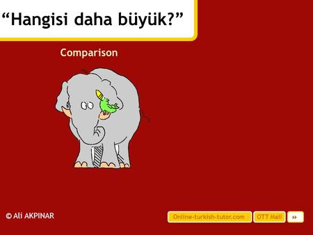 “Hangisi daha büyük?” Comparison © Ali AKPINAR 