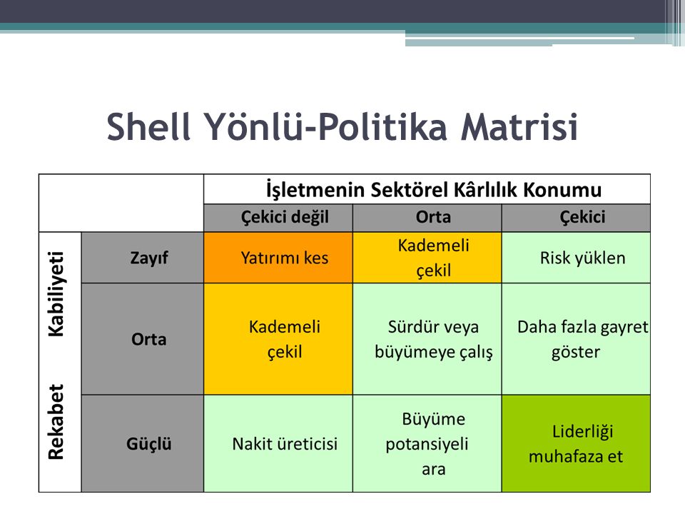 Shell Yönlü-Politika Matrisi