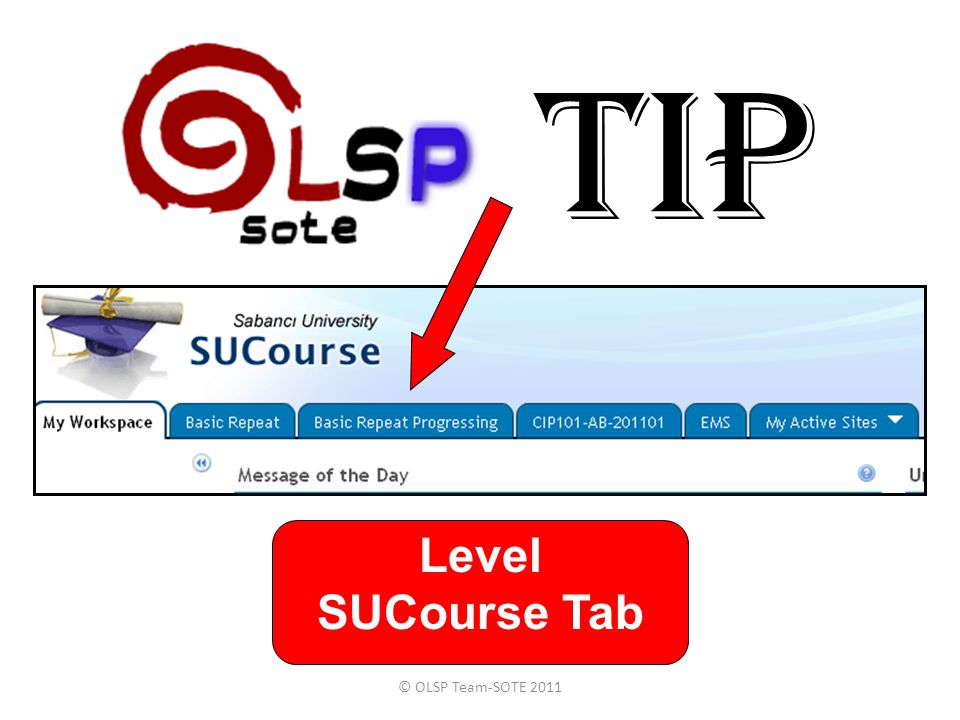 TIP Level SUCourse Tab © OLSP Team-SOTE 2011