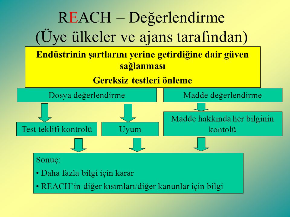 REACH – Değerlendirme (Üye ülkeler ve ajans tarafından)