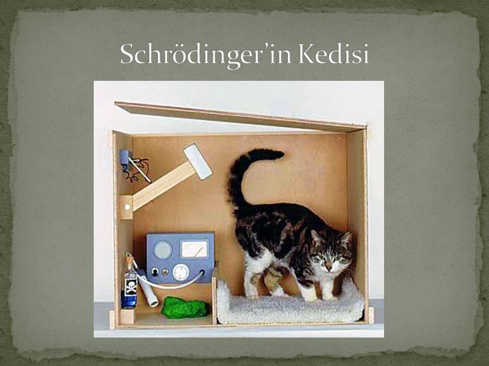 Schrödinger’in Kedisi
