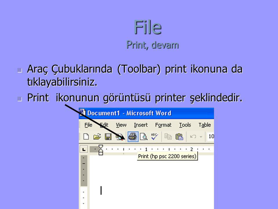 File Print, devam Araç Çubuklarında (Toolbar) print ikonuna da tıklayabilirsiniz.