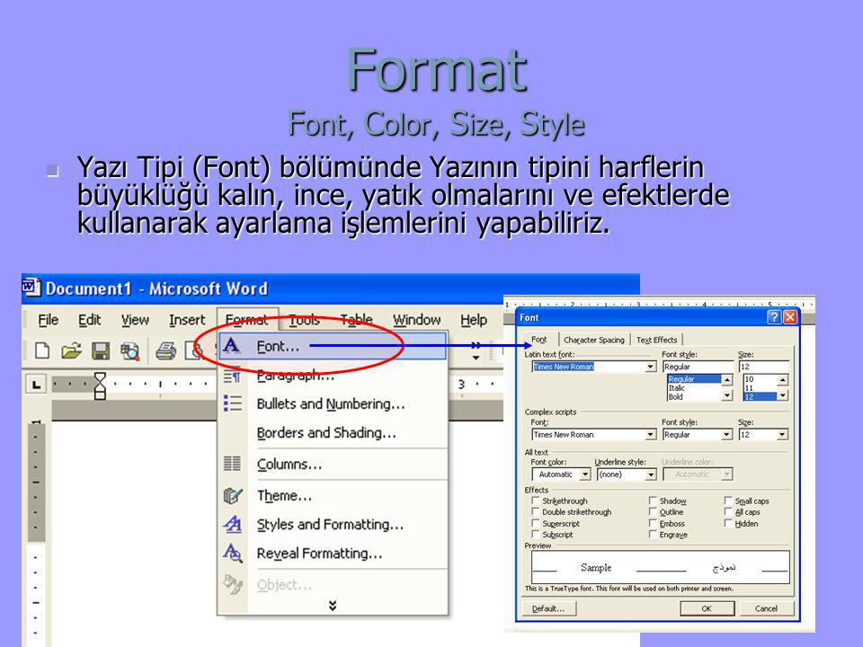 Format Font, Color, Size, Style