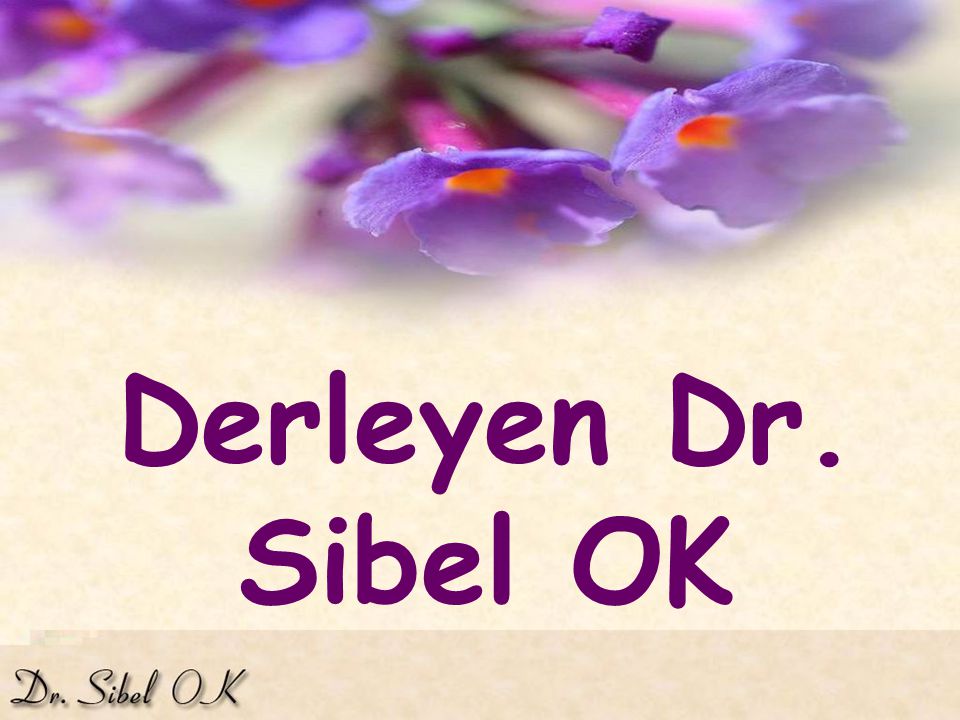 Derleyen Dr. Sibel OK