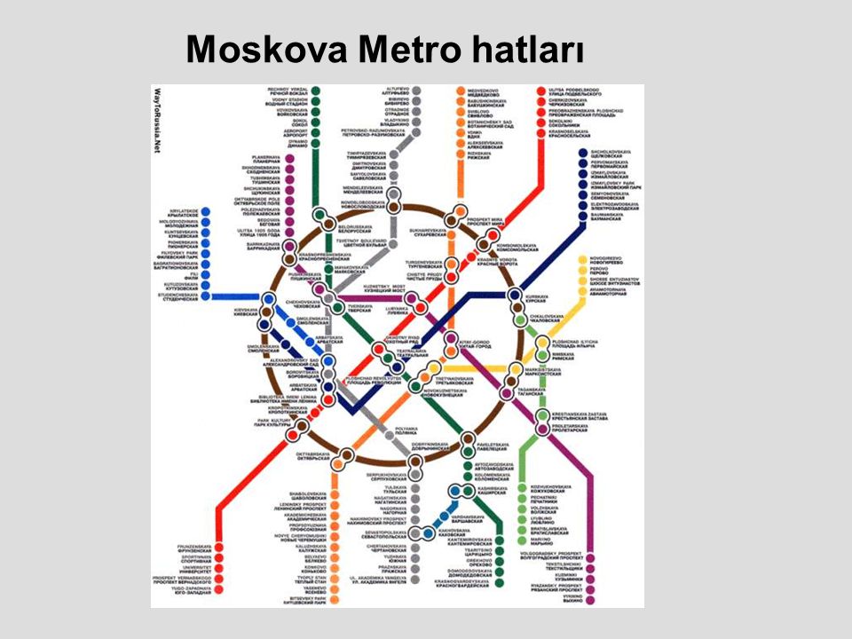 Карта метро магазина в электронном виде