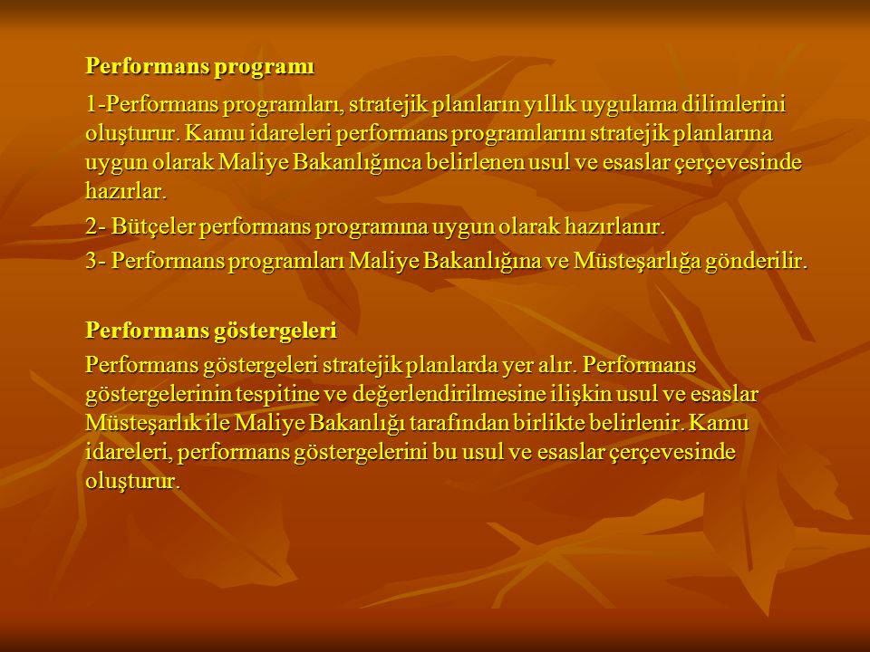 Performans programı