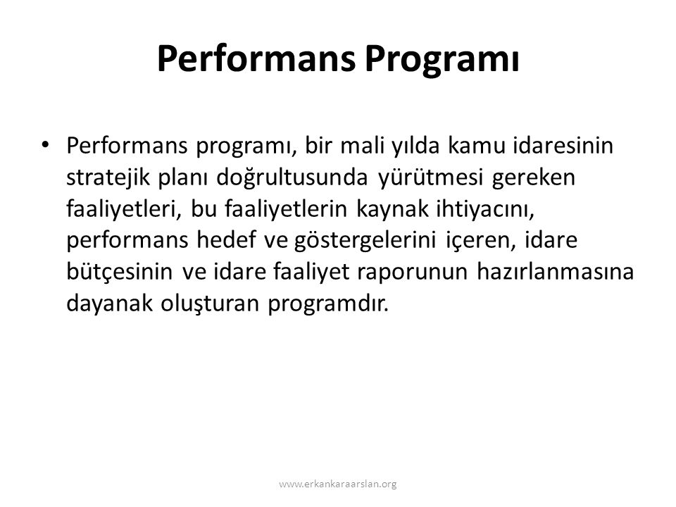Performans Programı