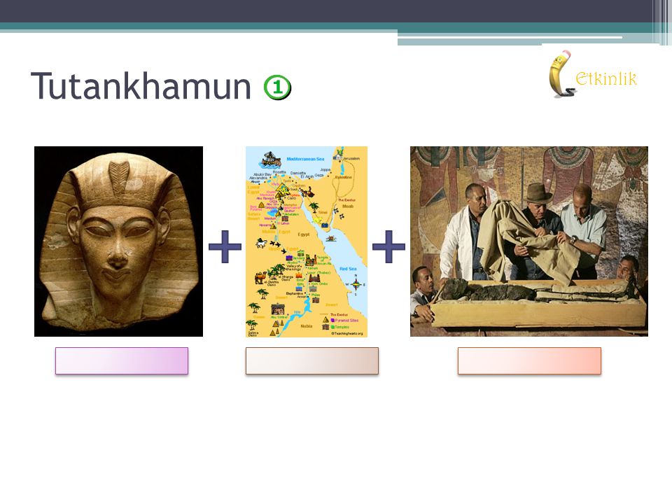 Tutankhamun Etkinlik