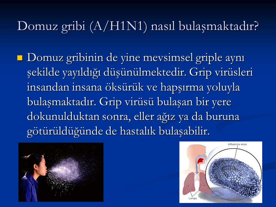 Domuz gribi (A/H1N1) nasıl bulaşmaktadır