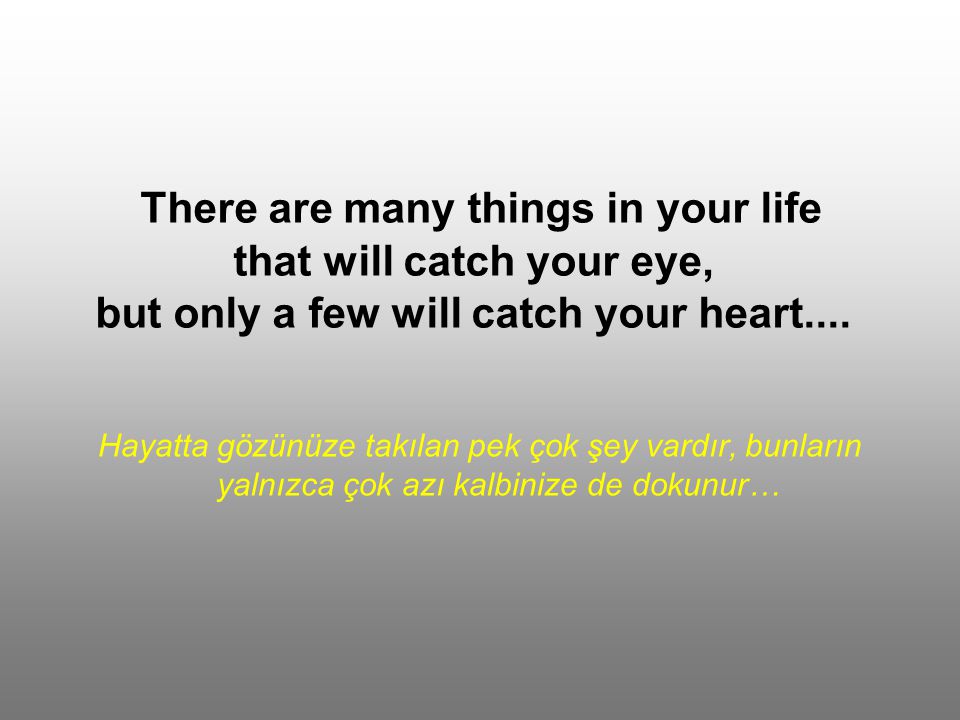 There are many things in your life that will catch your eye, but only a few will catch your heart....