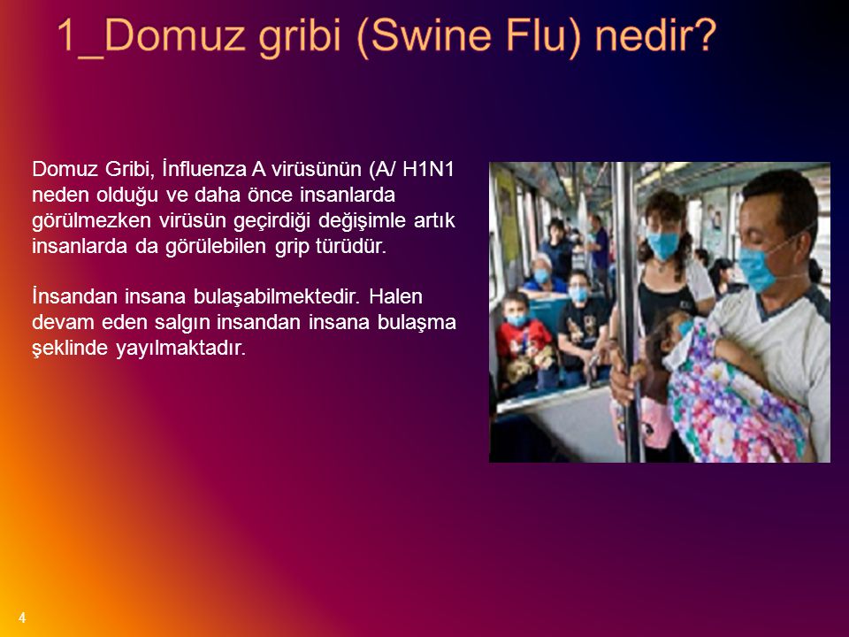 1_Domuz gribi (Swine Flu) nedir