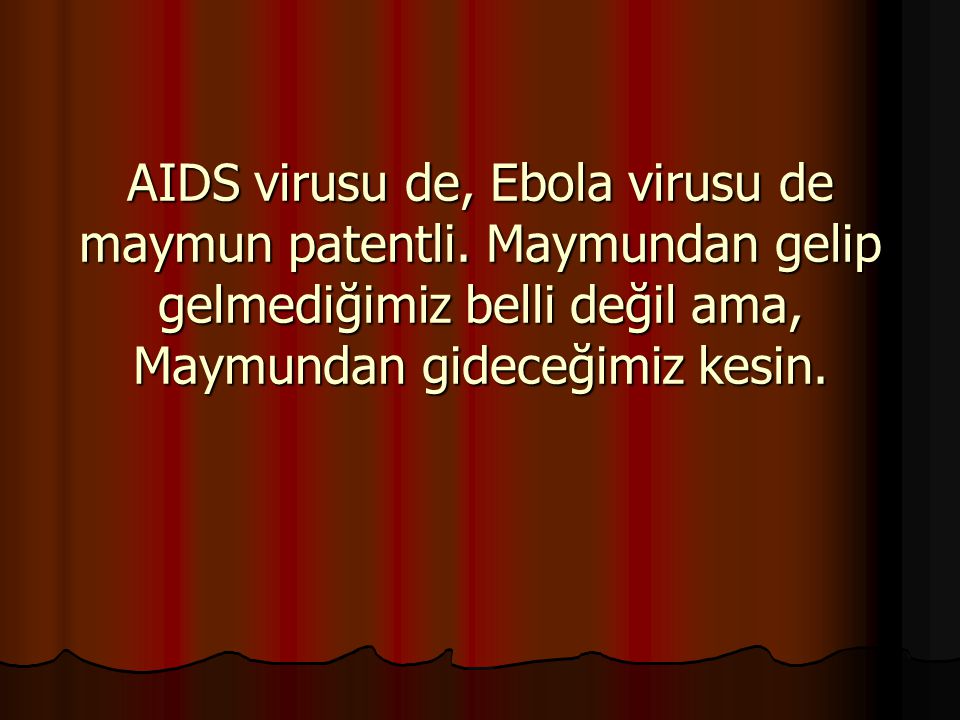 AIDS virusu de, Ebola virusu de maymun patentli