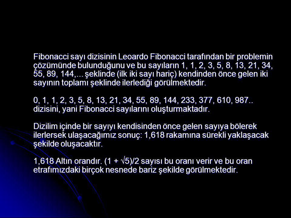 Fibonacci sayı dizisinin Leoardo Fibonacci tarafından bir problemin çözümünde bulunduğunu ve bu sayıların 1, 1, 2, 3, 5, 8, 13, 21, 34, 55, 89, 144,...