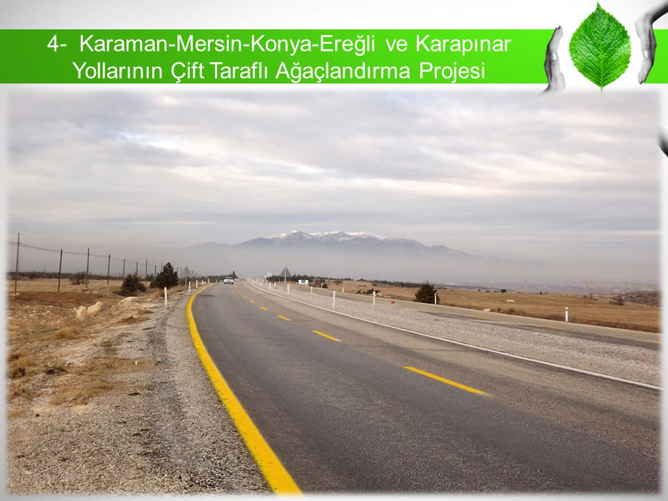 4- Karaman-Mersin-Konya-Ereğli ve Karapınar Yollarının Çift Taraflı Ağaçlandırma Projesi